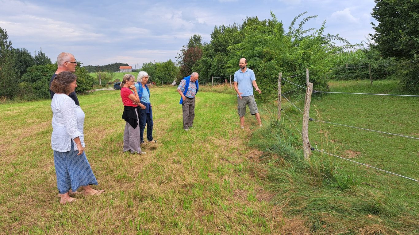 5 Menschen auf einer Wiese, einer erklärt